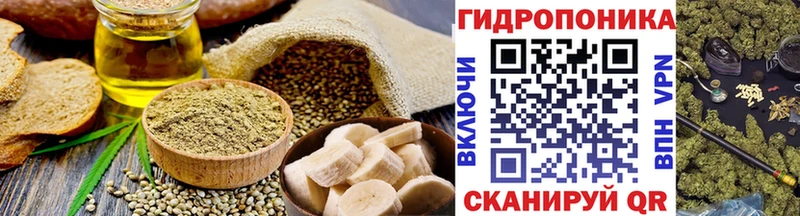 Купить где  Магас  Canna-Cookies конопля 