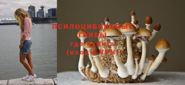 трава Медвежьегорск