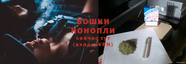 трава Медвежьегорск