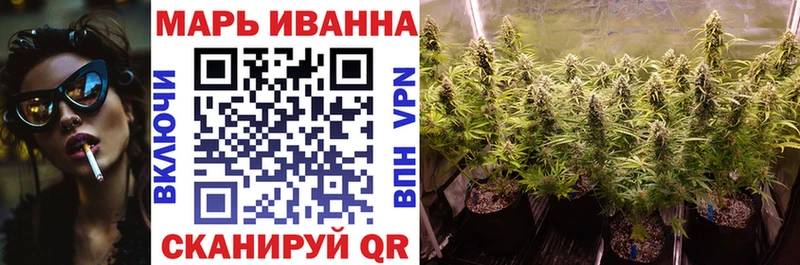 Купить закладки  Магас  Шишки марихуана конопля 
